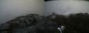 ./images/calvert/buxton2/20210516/buxton220210516_112503M.jpg