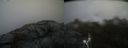 ./images/calvert/buxton2/20210516/buxton220210516_113503M.jpg
