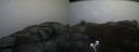 ./images/calvert/buxton2/20210516/buxton220210516_114003M.jpg