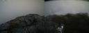 ./images/calvert/buxton2/20210516/buxton220210516_120003M.jpg