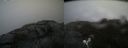 ./images/calvert/buxton2/20210516/buxton220210516_124503M.jpg