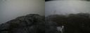 ./images/calvert/buxton2/20210516/buxton220210516_142502M.jpg