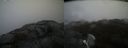 ./images/calvert/buxton2/20210516/buxton220210516_145003M.jpg