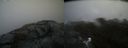 ./images/calvert/buxton2/20210516/buxton220210516_151503M.jpg