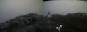 ./images/calvert/buxton2/20210516/buxton220210516_162502M.jpg