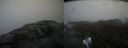 ./images/calvert/buxton2/20210516/buxton220210516_164003M.jpg