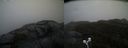 ./images/calvert/buxton2/20210516/buxton220210516_170503M.jpg