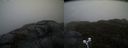 ./images/calvert/buxton2/20210516/buxton220210516_171003M.jpg