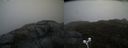 ./images/calvert/buxton2/20210516/buxton220210516_172003M.jpg