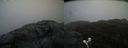 ./images/calvert/buxton2/20210516/buxton220210516_172503M.jpg