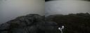 ./images/calvert/buxton2/20210516/buxton220210516_173503M.jpg