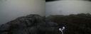 ./images/calvert/buxton2/20210516/buxton220210516_174503M.jpg