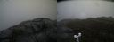 ./images/calvert/buxton2/20210516/buxton220210516_175003M.jpg