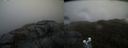 ./images/calvert/buxton2/20210516/buxton220210516_182502M.jpg