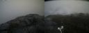 ./images/calvert/buxton2/20210516/buxton220210516_184003M.jpg