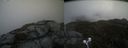 ./images/calvert/buxton2/20210517/buxton220210517_124003M.jpg
