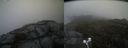 ./images/calvert/buxton2/20210517/buxton220210517_124503M.jpg