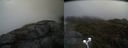 ./images/calvert/buxton2/20210517/buxton220210517_131003M.jpg