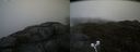 ./images/calvert/buxton2/20210517/buxton220210517_131503M.jpg