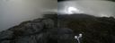 ./images/calvert/buxton2/20210517/buxton220210517_135002M.jpg