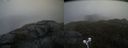 ./images/calvert/buxton2/20210517/buxton220210517_165003M.jpg