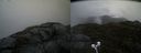 ./images/calvert/buxton2/20210517/buxton220210517_165503M.jpg