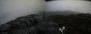 ./images/calvert/buxton2/20210517/buxton220210517_173503M.jpg
