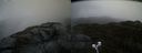 ./images/calvert/buxton2/20210517/buxton220210517_174003M.jpg