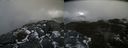 ./images/calvert/buxton2/20210518/buxton220210518_111503M.jpg