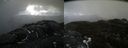 ./images/calvert/buxton2/20210518/buxton220210518_125503M.jpg