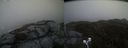./images/calvert/buxton2/20210518/buxton220210518_202002M.jpg