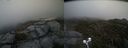 ./images/calvert/buxton2/20210519/buxton220210519_184003M.jpg