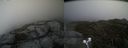 ./images/calvert/buxton2/20210519/buxton220210519_185003M.jpg