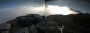 ./images/calvert/buxton2/20210521/buxton220210521_085003M.jpg