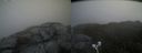 ./images/calvert/buxton2/20210521/buxton220210521_121002M.jpg