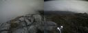 ./images/calvert/buxton2/20210521/buxton220210521_131003M.jpg