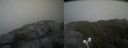 ./images/calvert/buxton2/20210522/buxton220210522_172503M.jpg
