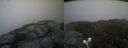 ./images/calvert/buxton2/20210522/buxton220210522_174003M.jpg