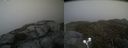 ./images/calvert/buxton2/20210522/buxton220210522_181503M.jpg