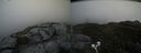 ./images/calvert/buxton2/20210523/buxton220210523_165003M.jpg