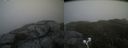 ./images/calvert/buxton2/20210523/buxton220210523_175502M.jpg