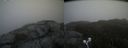 ./images/calvert/buxton2/20210523/buxton220210523_184503M.jpg