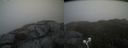 ./images/calvert/buxton2/20210523/buxton220210523_195003M.jpg