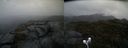 ./images/calvert/buxton2/20210526/buxton220210526_075502M.jpg