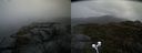 ./images/calvert/buxton2/20210526/buxton220210526_083503M.jpg