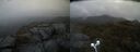 ./images/calvert/buxton2/20210526/buxton220210526_115002M.jpg