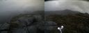 ./images/calvert/buxton2/20210526/buxton220210526_124003M.jpg