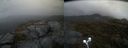 ./images/calvert/buxton2/20210526/buxton220210526_135002M.jpg
