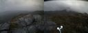./images/calvert/buxton2/20210526/buxton220210526_150503M.jpg