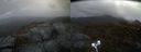 ./images/calvert/buxton2/20210526/buxton220210526_151503M.jpg